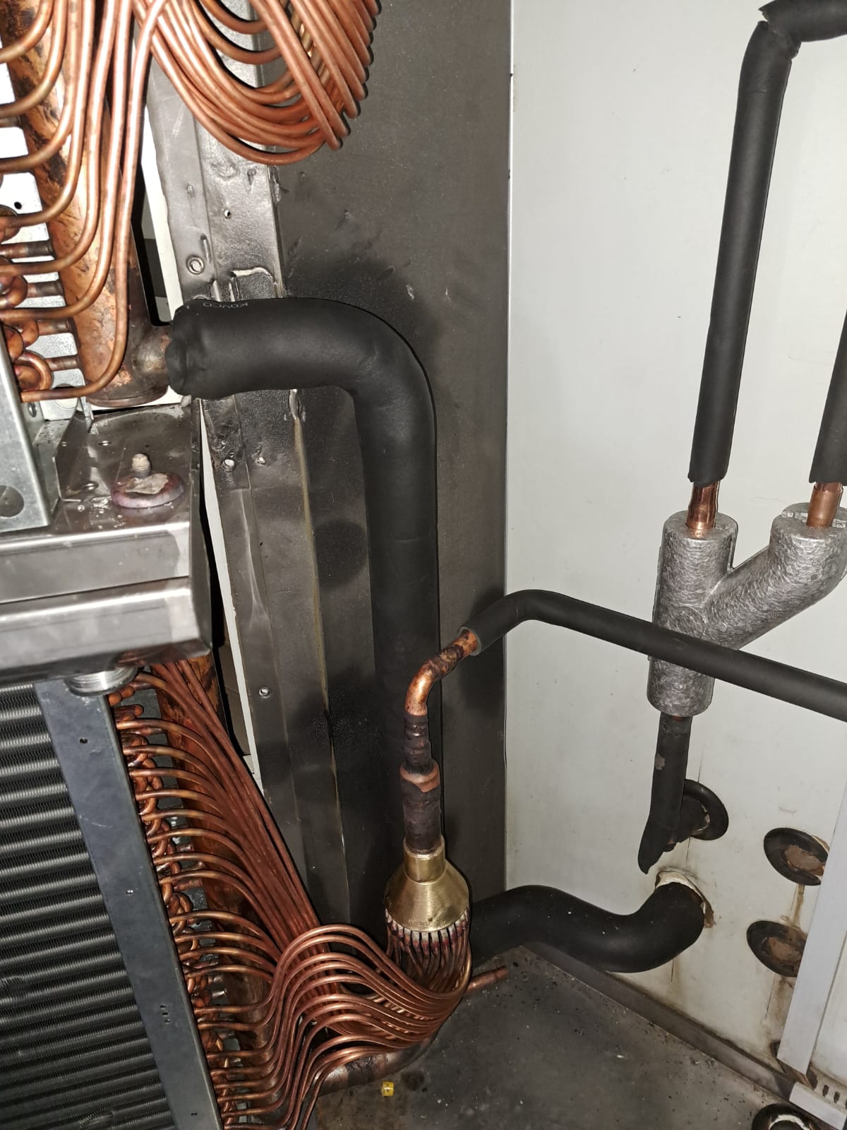 WhatsApp Image 2022-08-10 at 9.20.27 AM WhatsApp Image 2022-08-10 at 9.20.27 AM